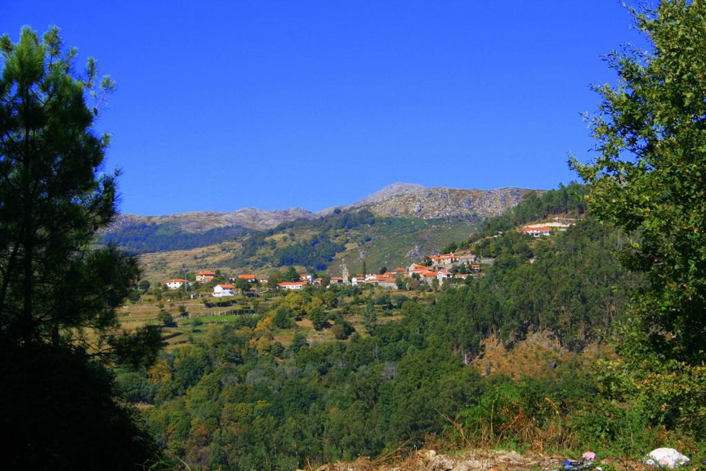 Corredoura Garden