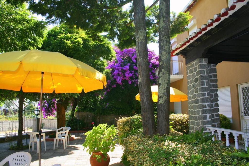 Corredoura Garden Maison d'hôtes Caldelas